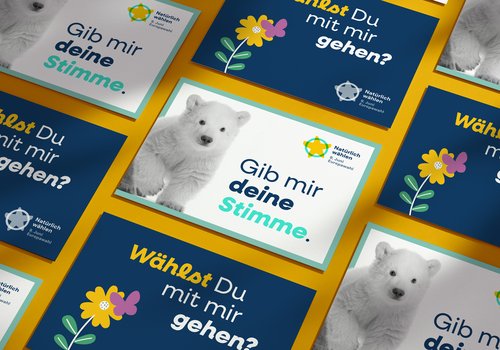 Thumbnail Kampagne zur Europawahl